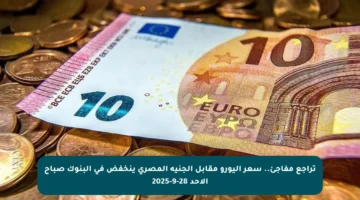 تراجع مفاجئ.. سعر اليورو مقابل الجنيه المصري ينخفض في البنوك صباح الأحد 28-9-2025